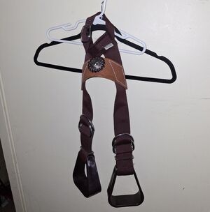 Horse Saddle Western Kids Child Youth Pony Buddy Stirrups w/ Concho 5138CO555